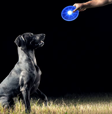 Light-Up Dog Frisbee – Play Without Limits, Even at Night