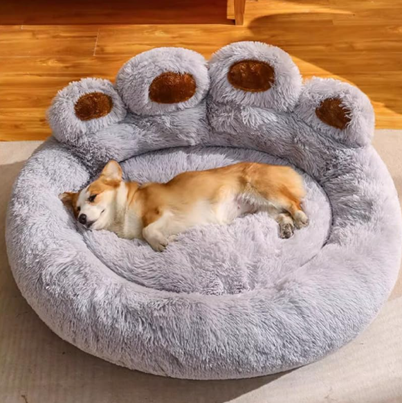 Soft Sofa – A cocoon of softness and comfort